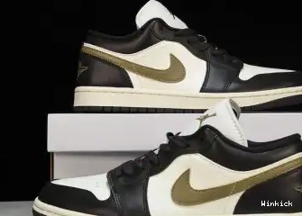 Low  Jordan DC0774-200 1 0705